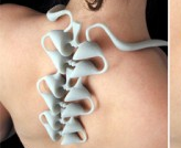 vertebrae necklace by busybee