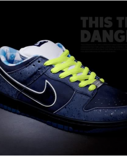 NIKE SB BLUE LOBSTER CONCEPTS